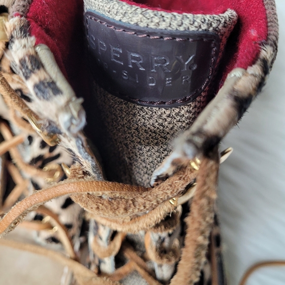 Sperry top- spider high tops - Picture 5 of 9